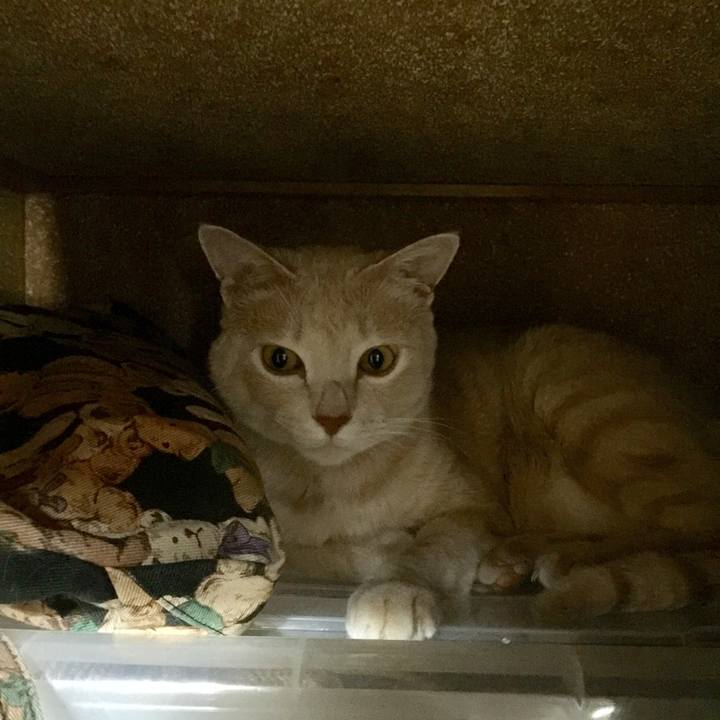 8b731008 1d6c 4938 b773 7e2dc0402a2a