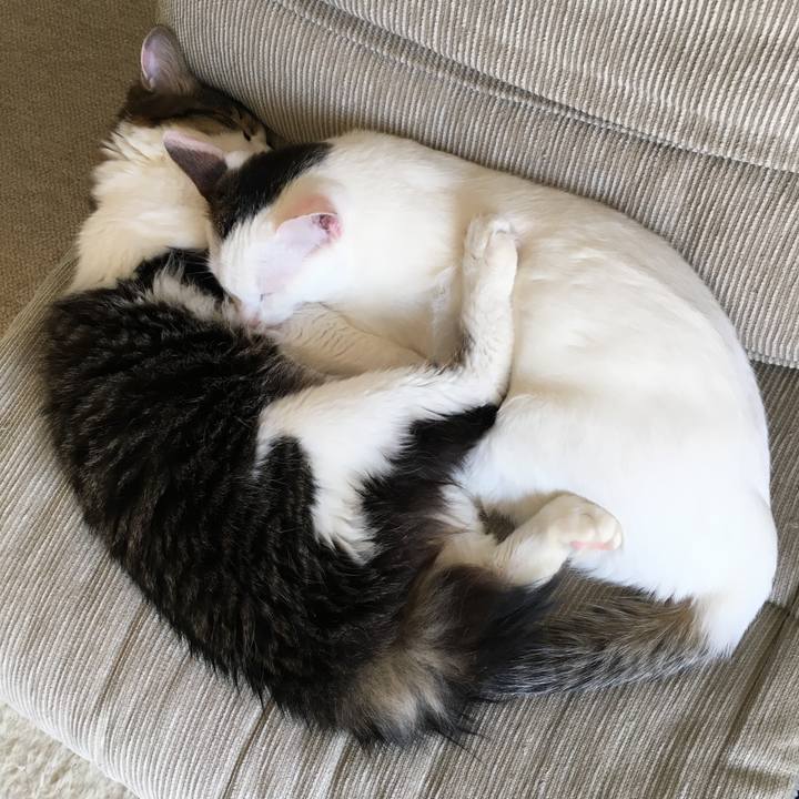 8b746570 73d8 44fa a9ae 457ece1044b3