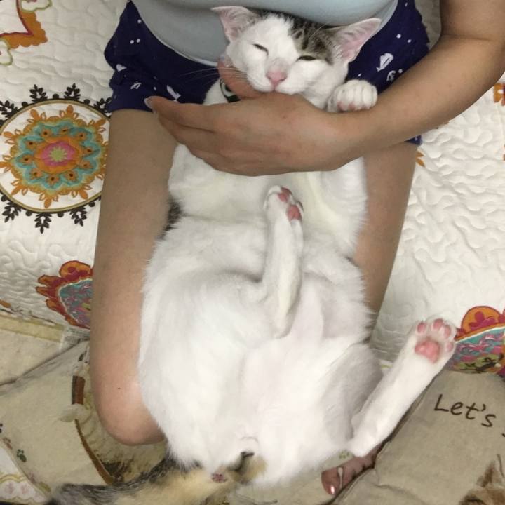 8b746d58 7512 4d75 af9a 17029faadf1c