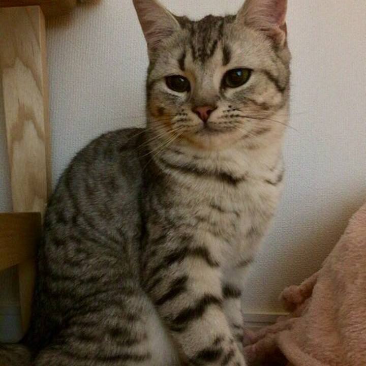 8b749004 e66f 4b21 a0f1 3c4b910df6db