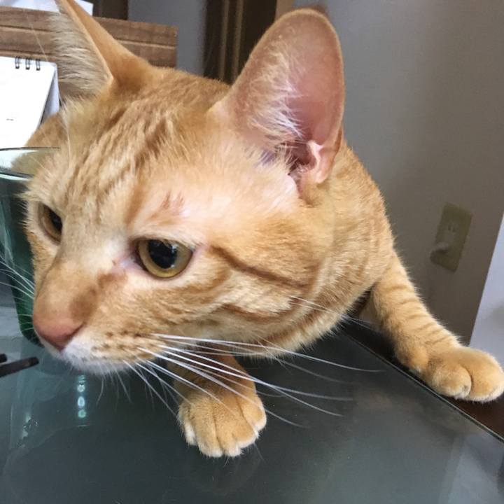 8b75c414 0804 43f6 a713 bf910e1f9662