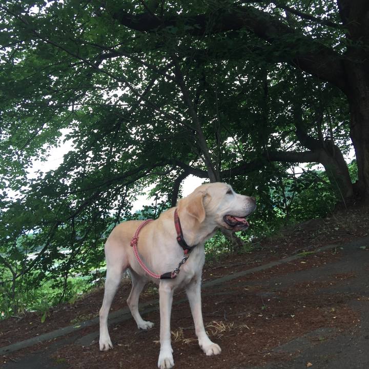 8b75f8a3 69a7 4502 aebd 910f3c642a3b