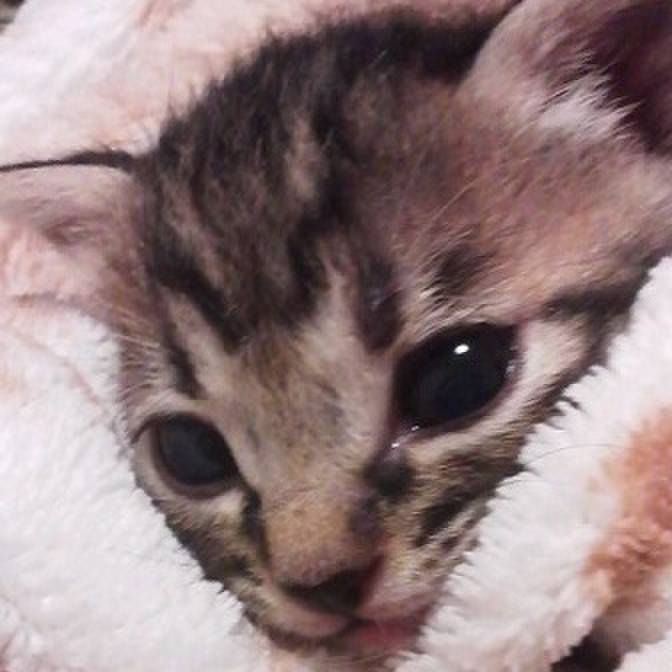 8b766e2d 8faa 4d5b aab0 937cd1205058