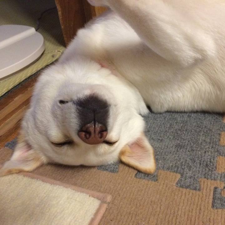 8b76a666 14d0 423a b6d6 6986faef86e5