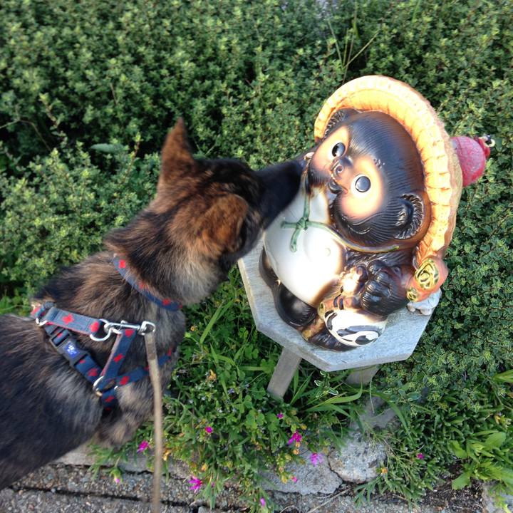 8b77999d 4472 49c7 a39f 805f89fe7ab9