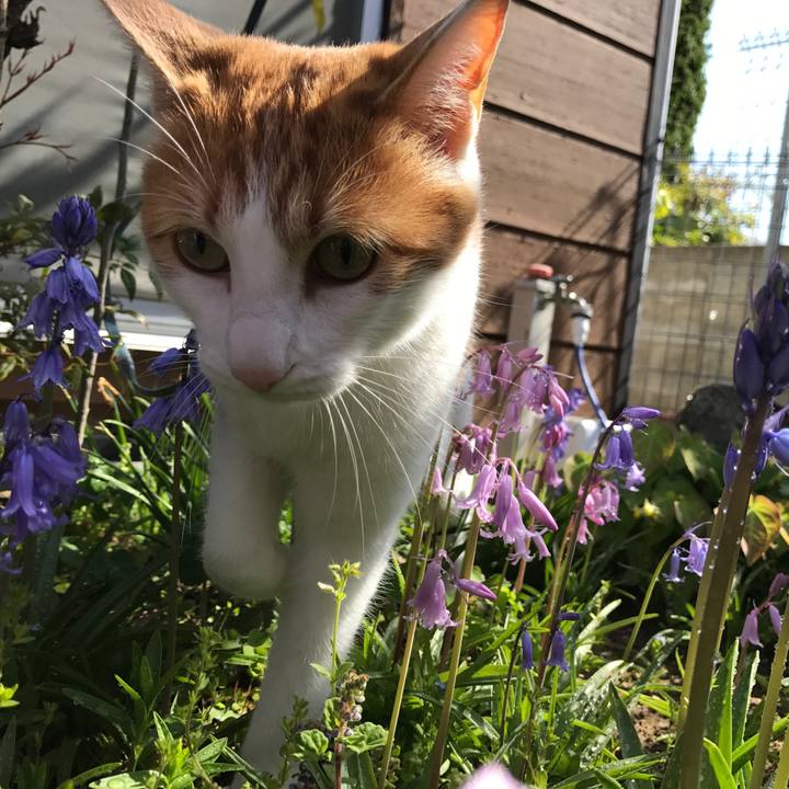 8b783f44 2086 433e 9e0f 1703e224c07f