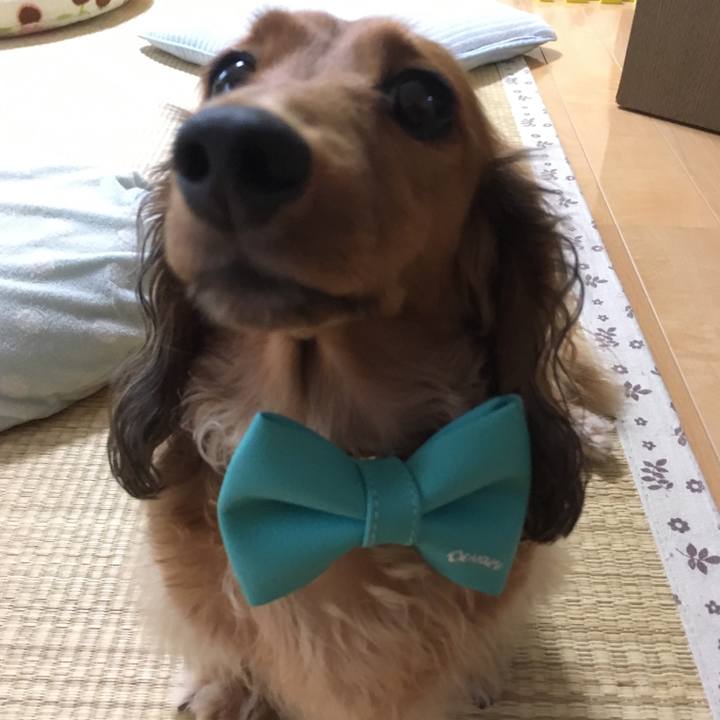 8b785960 5afa 4e0b 913f 5155e521b235