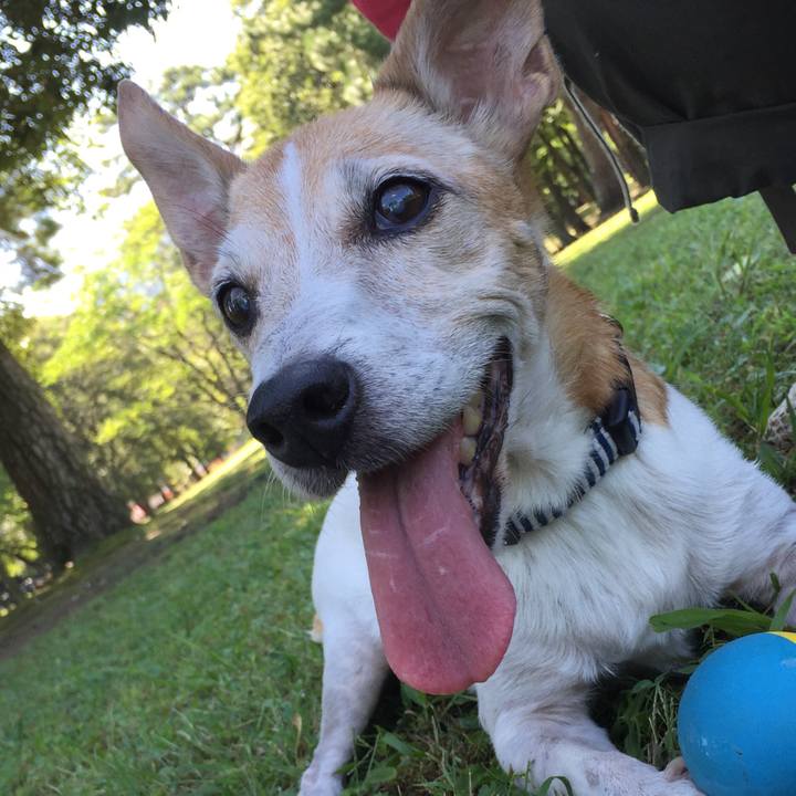 8b787f08 d31f 4c95 a867 fe075da81631