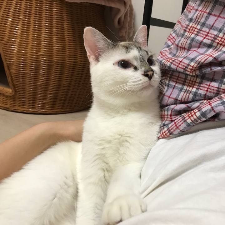 8b78e967 f2f0 49df bb6f e32f7f10a16e