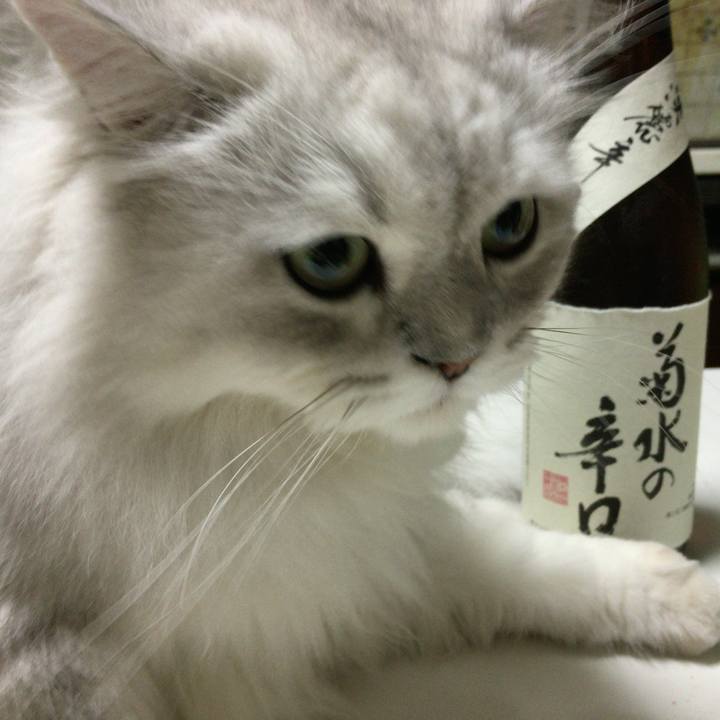 8b791f90 ccd0 4418 8b06 ce0a5d47ae98