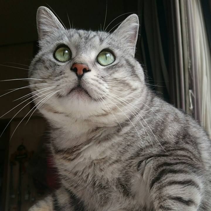 8b794dbd c74b 47e7 a7d0 5f9aa435873b