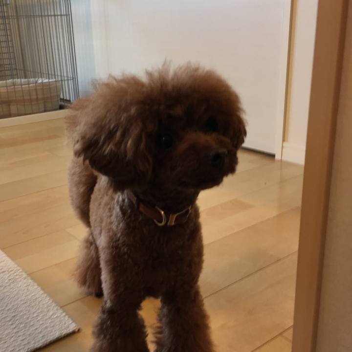 8b797f9d f9e3 4ae0 a078 fd8376cf2e26