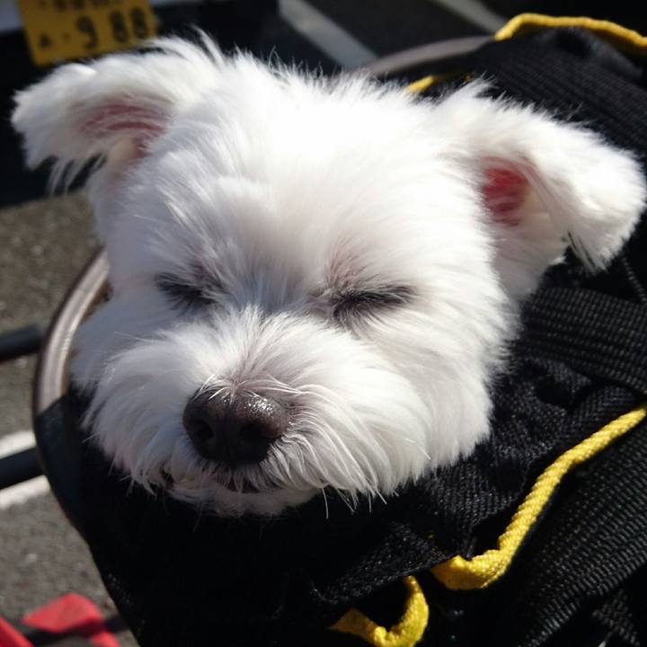 8b7985c7 b0f0 4d72 8a65 dc71cacaa0e3