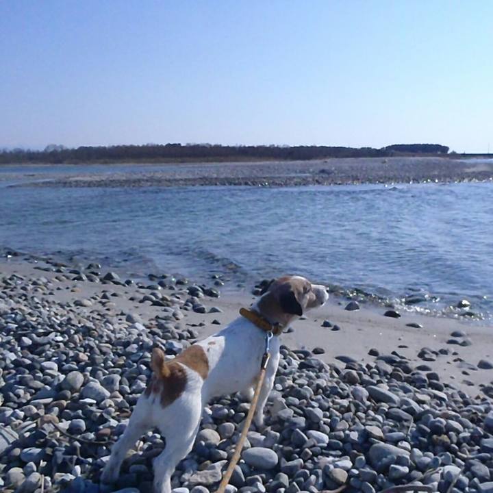 8b79fb78 f533 49b9 917c a84be6054c3b