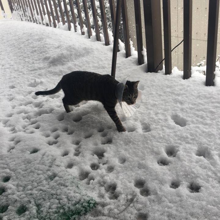 8b7b3f80 02a6 436a 891e 385d46400344