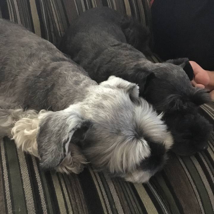 8b7b9b98 adcd 4199 acbe 25f1c0ec0175