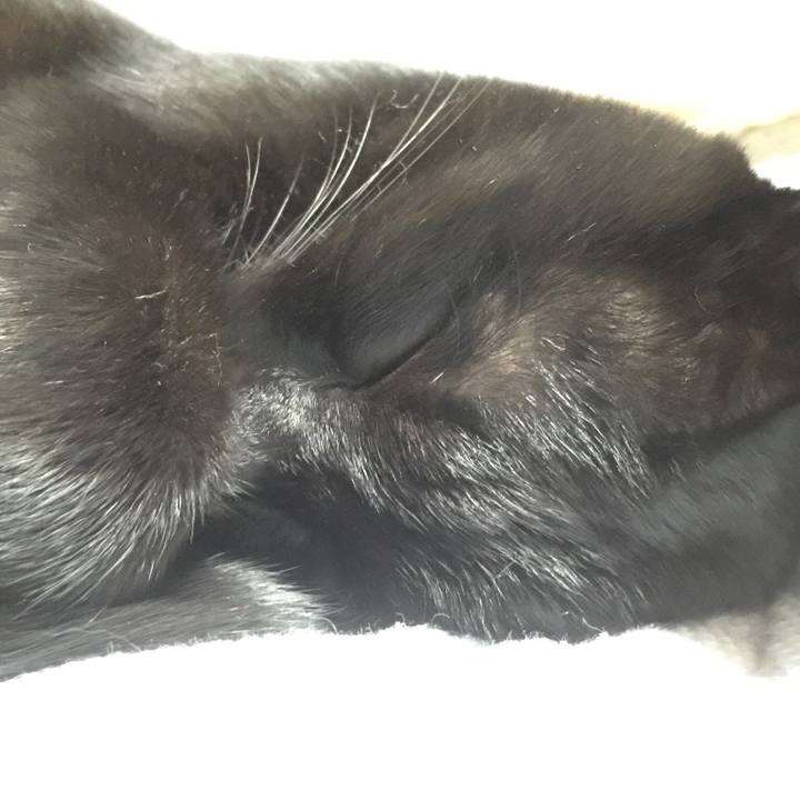 8b7bc7f1 0eaf 461d 8e69 365ae62a9f15