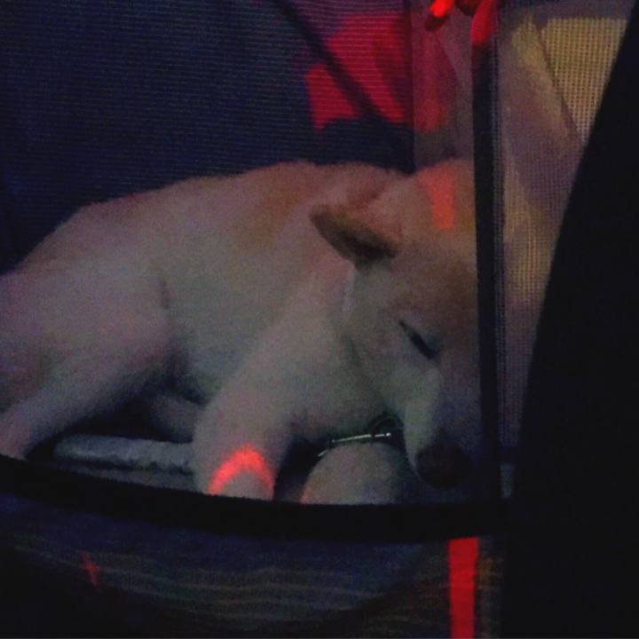 8b7c5b2e 117a 4e33 a410 bf6e13d79723