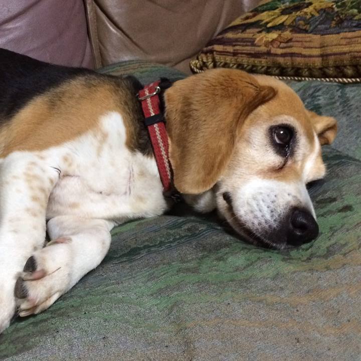 8b7ccb4f 5f69 4a55 9073 635404553d7b