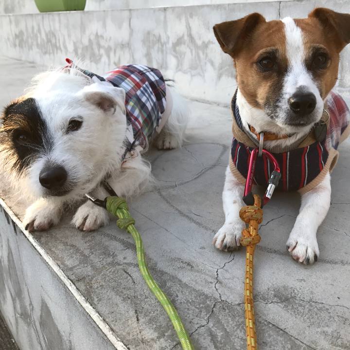 8b7d7409 3cf6 4c3d a0a4 6132287a83dc