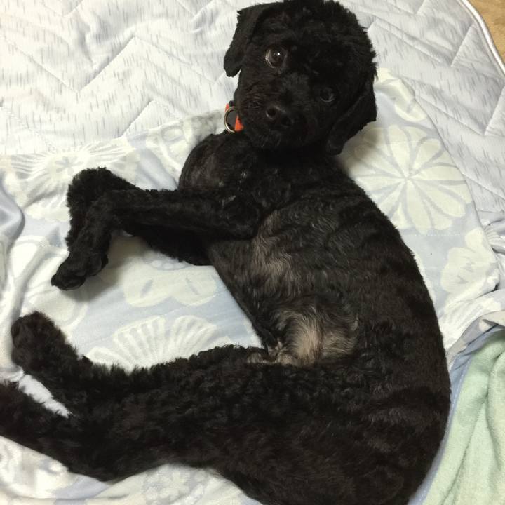 8b7db773 47e6 401f 888b f59d613ed697