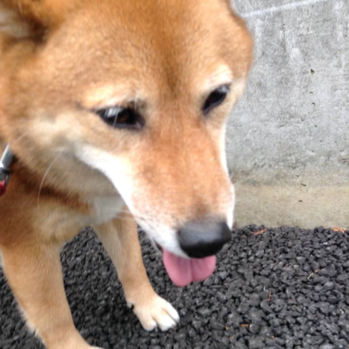 8b7dbad7 5d85 4dd3 b26a b6f0447a4160