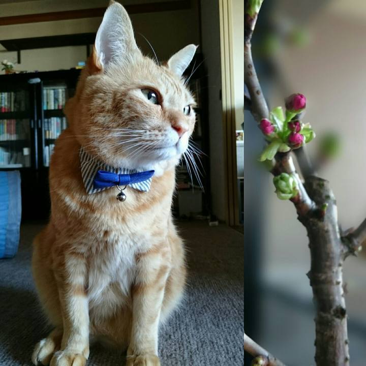 8b7df21e 4dd8 43f8 8c9b 98c71050dffc