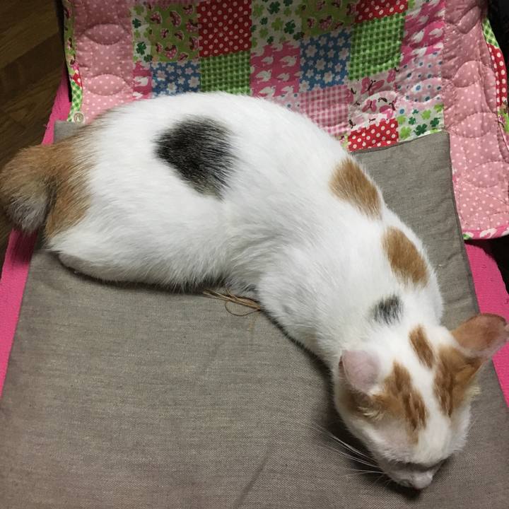 8b7e64af 352d 4fe2 87e8 61397023c7f9