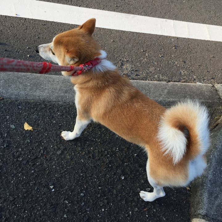 8b7e6d19 d681 4f70 a474 493944f85134