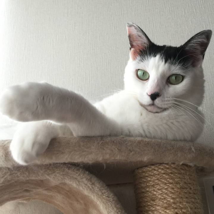 8b7fb8f0 0b33 4ec8 aa6a e855d5d619de