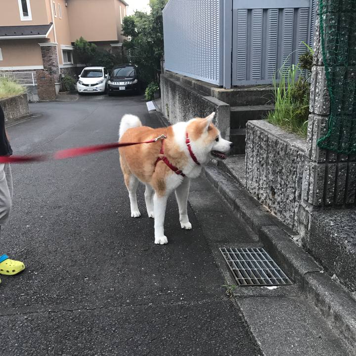 8b7fdfe1 3ef3 42ba a87a d307f32493cb