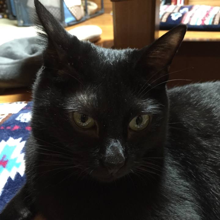 8b7ff89d 398e 497b 8b60 60e48e7b558a