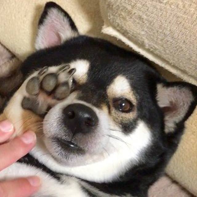 8b809669 8d25 4d90 9c13 332f20fb7558