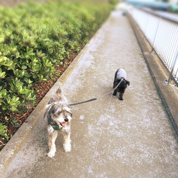 8b80c510 e333 4d06 9889 e84dda1fbc51