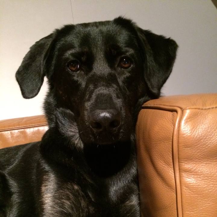 8b818d3a ed32 4d28 89a4 d7790b705043