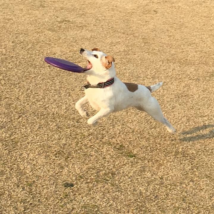 8b81b093 40c7 4e8a baad 2f1503dde9b8