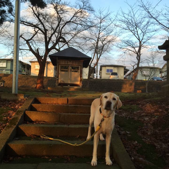 8b81f724 ea8f 444a 85e1 8c40f56b714e