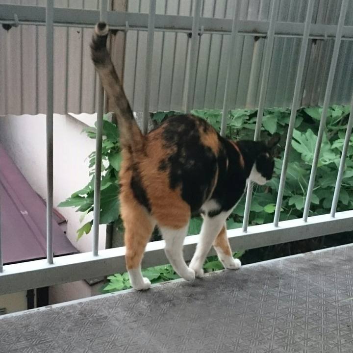 8b82d26d 036d 42a1 9956 0a35987992b1