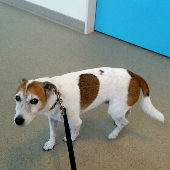 8b837d54 f2cc 4d6b 8910 dc87e840f2fa