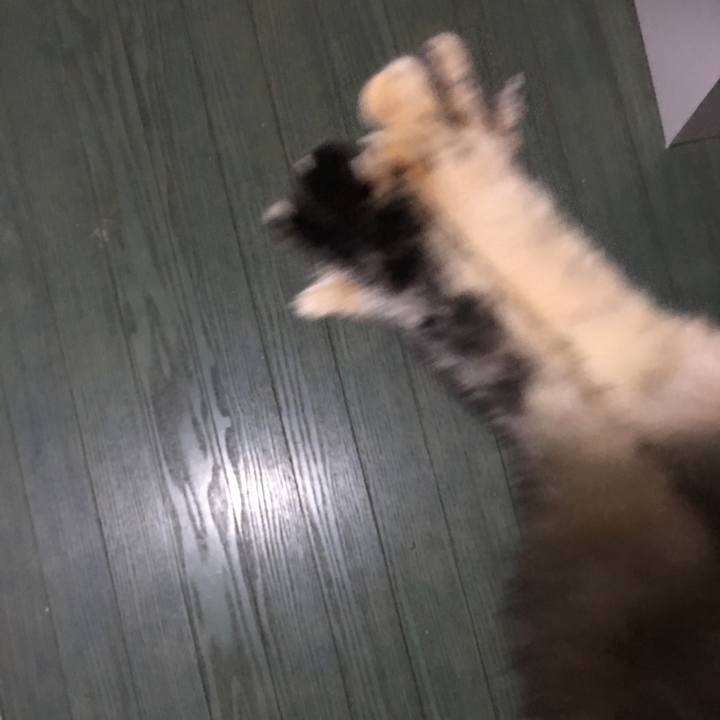 8b84b537 6b9e 4db8 ab6b efe5604f58a9