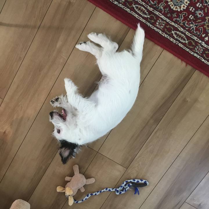 8b85c553 a3b7 49e5 9558 2e0264cae447