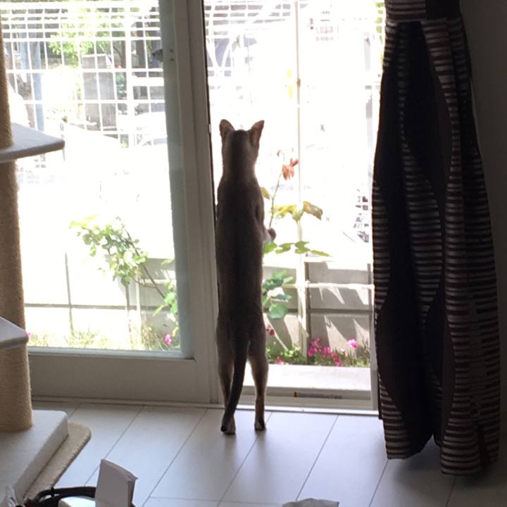 8b85cead f996 4f8b 9891 235396078f25