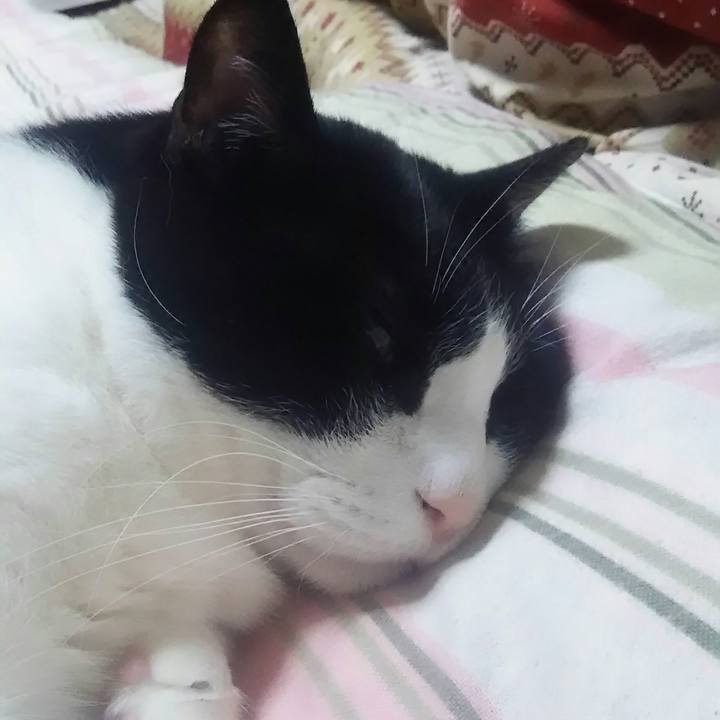 8b863d75 ea37 4375 9633 a7c4113a9999