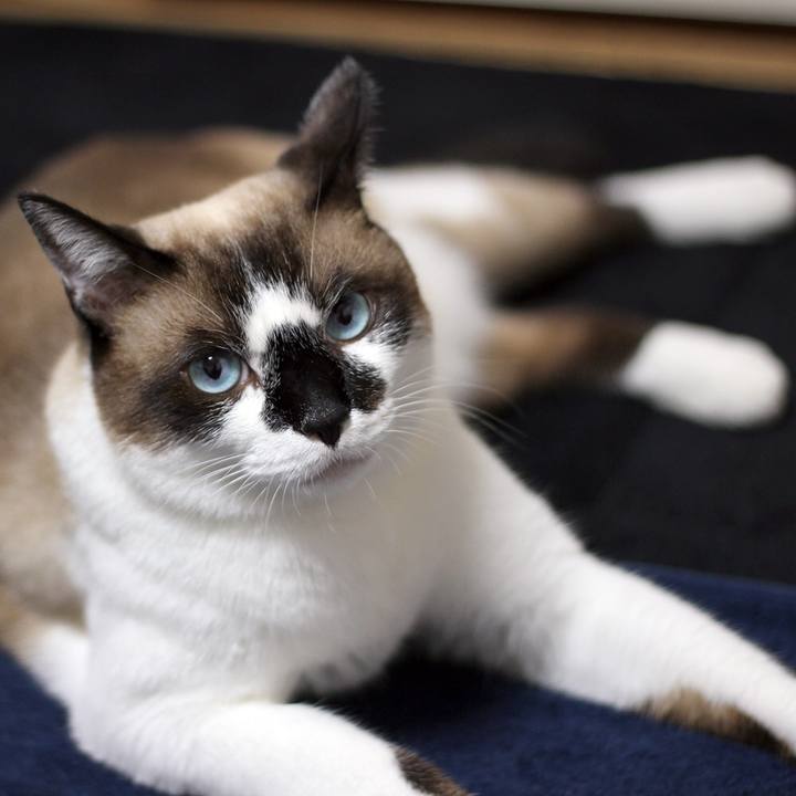 8b863e38 38e3 486e a30d 5345cd80452f