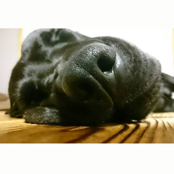 8b869c44 61f3 4215 9a38 d79a8f459402