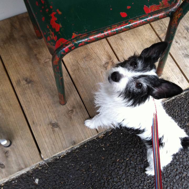 8b8772f7 55fc 4416 831d 08dedc1ec4c4