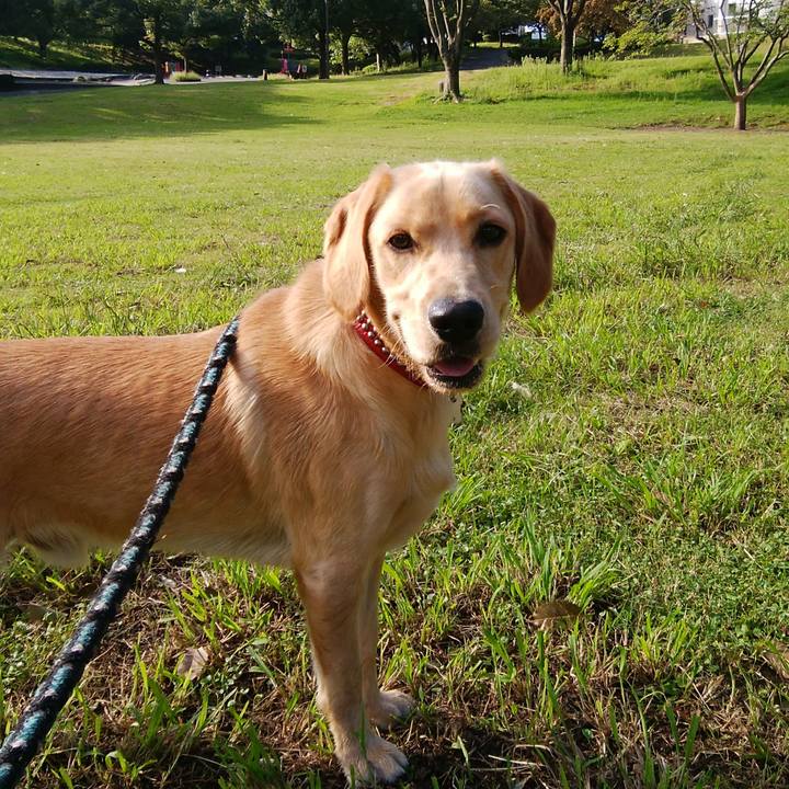 8b87d5d1 f4ac 44ed ae57 41370e72719c