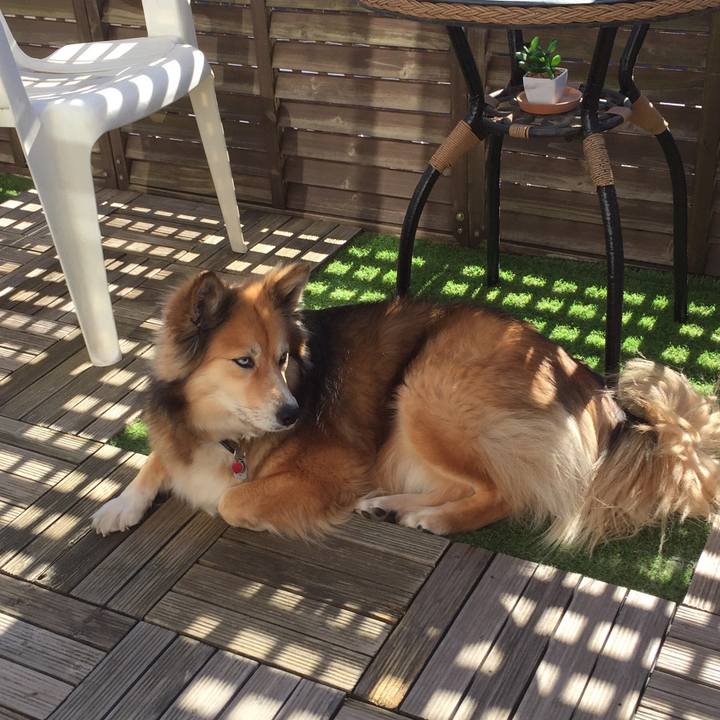 8b887e9b 9ced 4f17 ab7b 6f0cb728801c