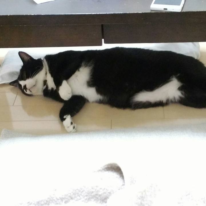 8b88e3ad 59d4 4d5d 8b86 64c5b2bf7753