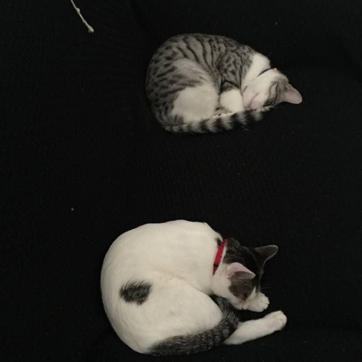 8b895b61 76e7 4c97 9373 f61449f9e0ba